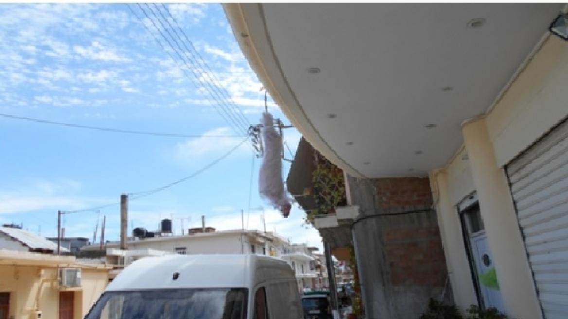 Κάτω Αχαΐα: Ρομά κρεμάνε αρνιά στα μπαλκόνια τους